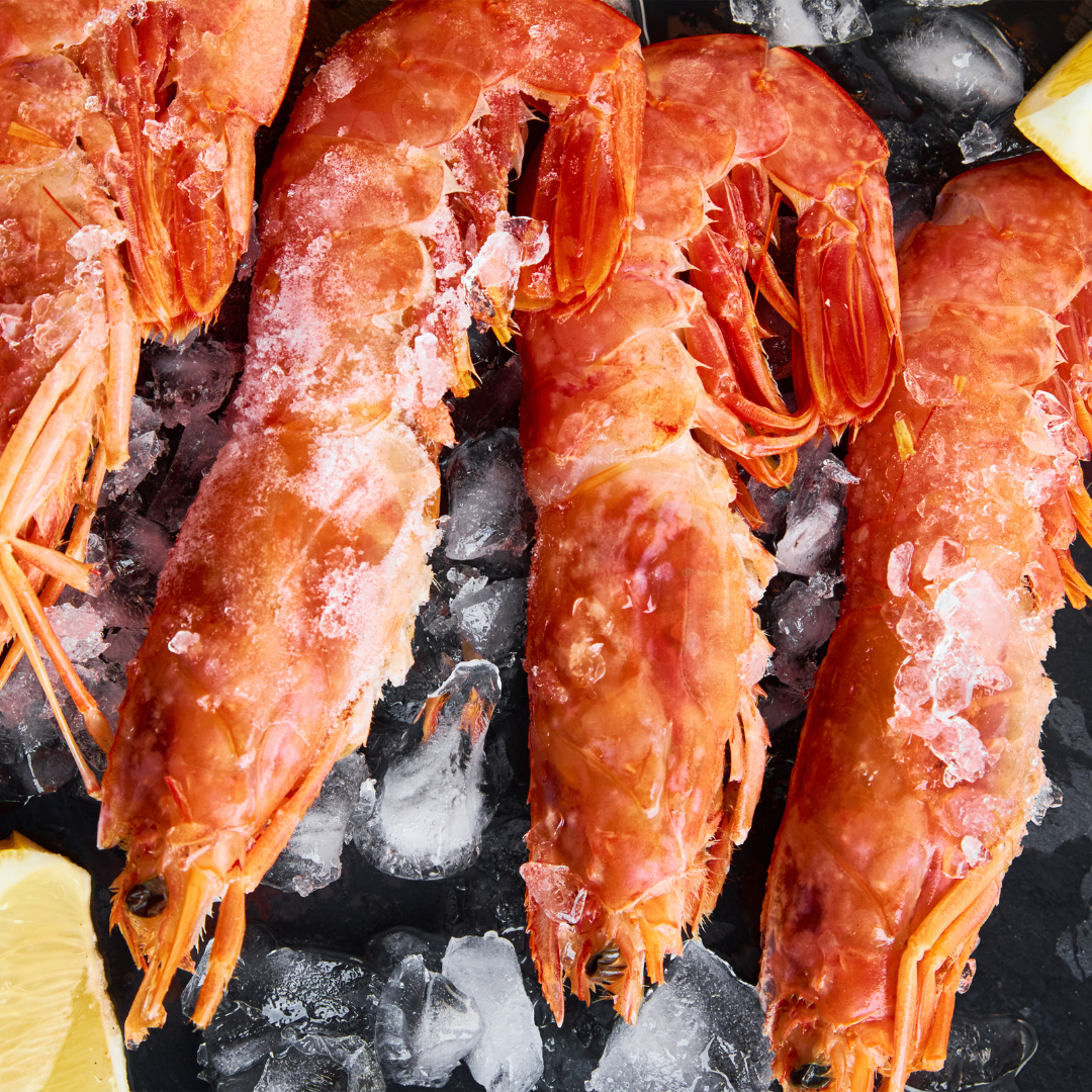 Grilled Spanish Red Carabineros Jumbo Prawns with Garlic and Lemon – Kolikof® Caviar & Gourmet