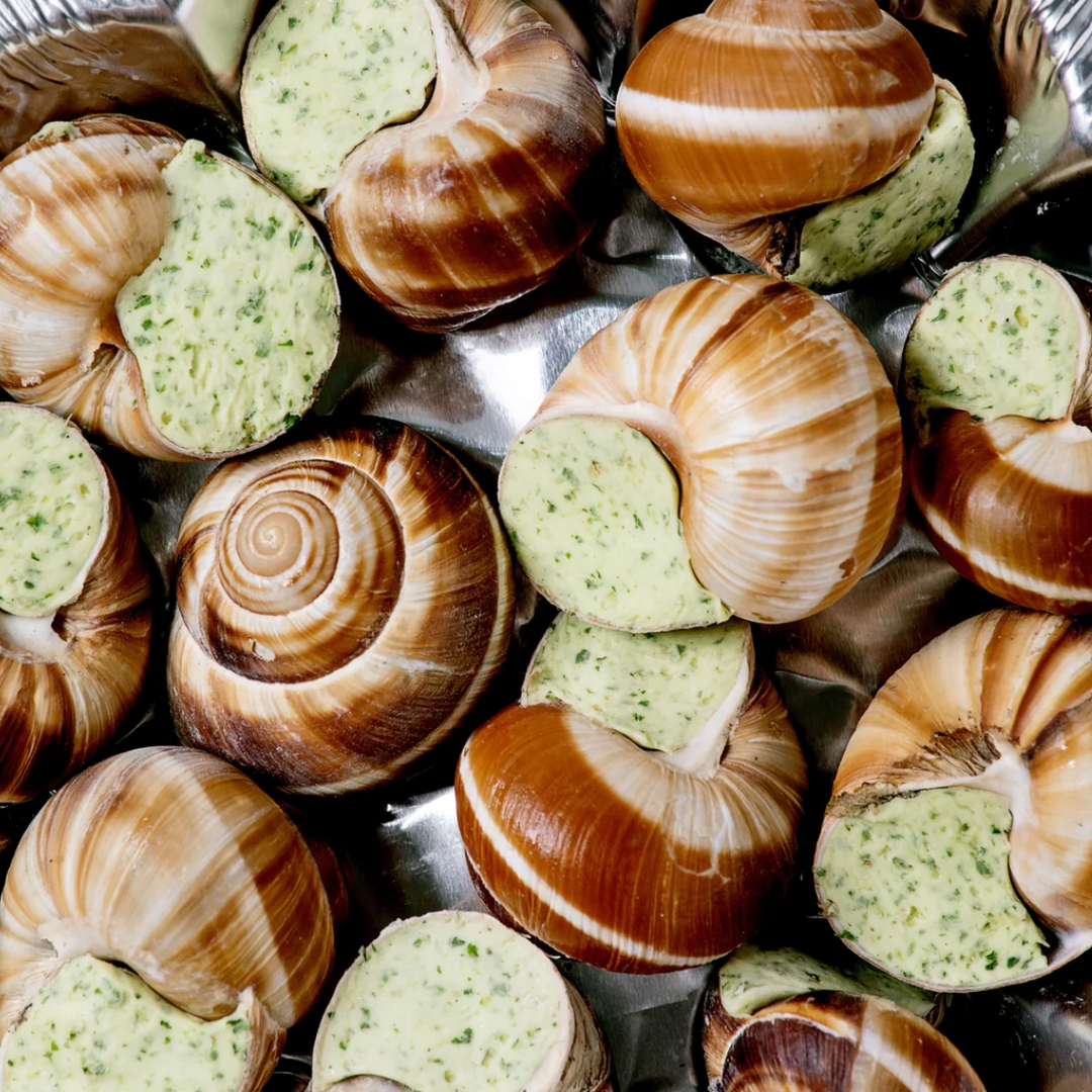 Escargot: A Delicacy in Your Own Kitchen