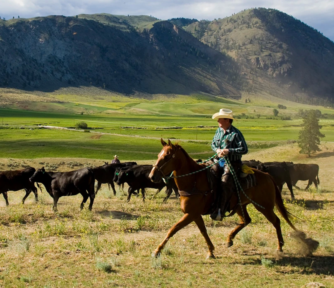 What’s Special About Snake River Farms?