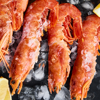 Grilled Spanish Red Carabineros Jumbo Prawns with Garlic and Lemon