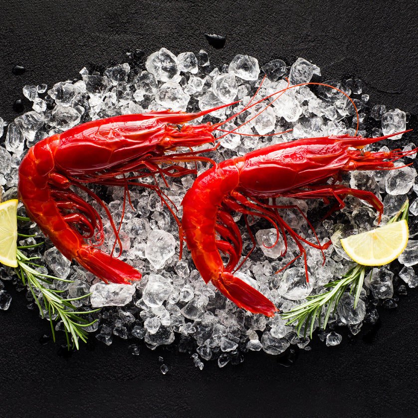 The best shellfish, lobster and seafood to order online at Kolikof.com.