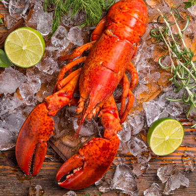 New England Live Lobster 1kg.