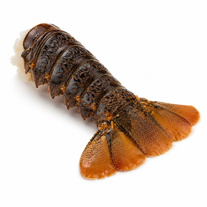 Tristan Lobster Tail (1 Tail)
