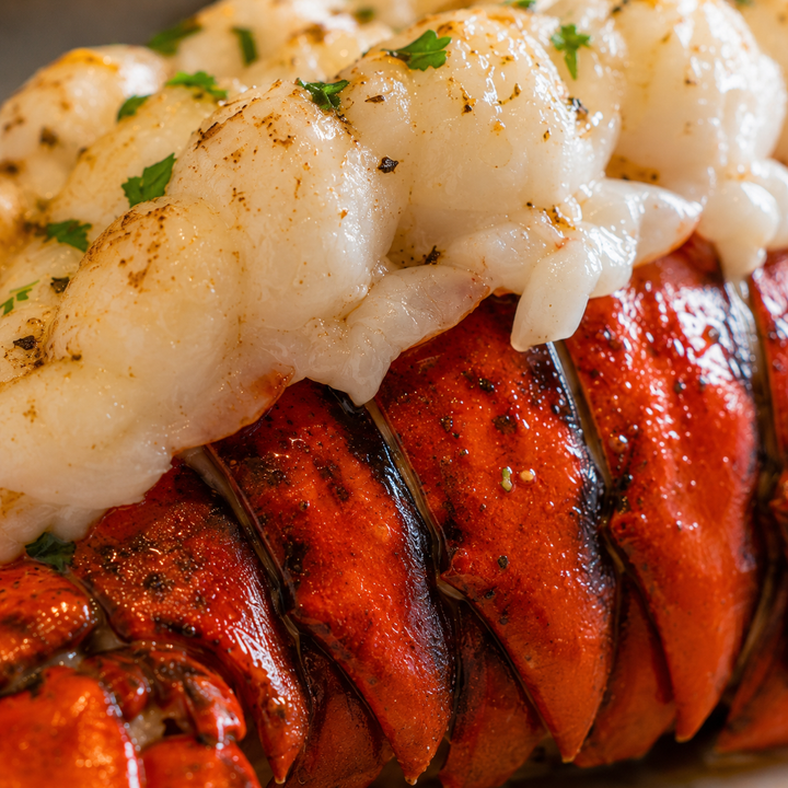Maine Lobster Tail