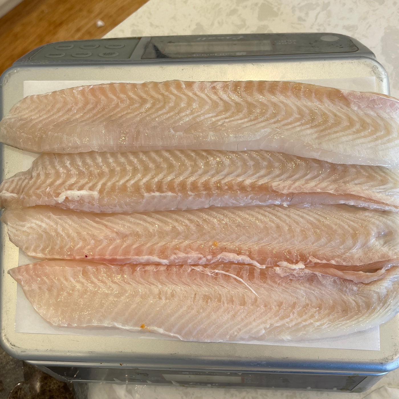 Dover Sole - Fillets (Wild)