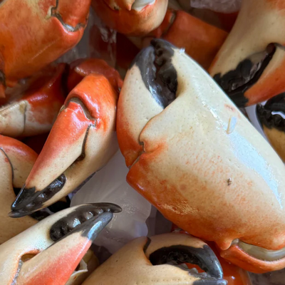 Stone Crab Claws (1lb)