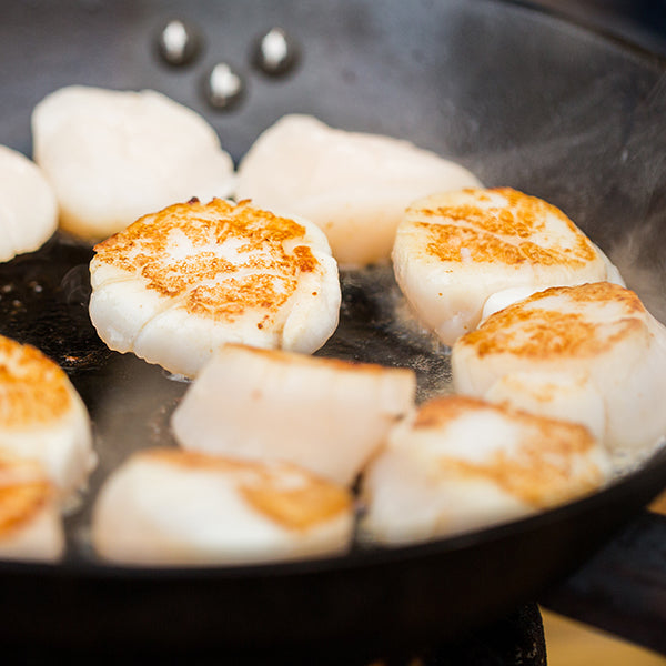 Buy Jumbo Sea Scallops at Kolikof. They are the best.