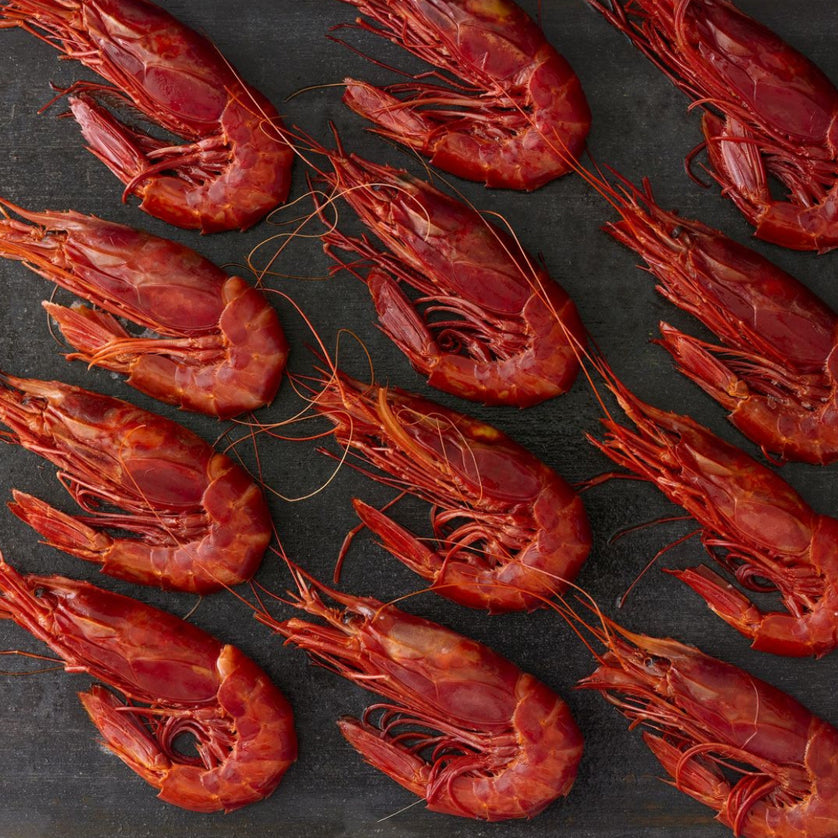 Red Caribineros Shrimp. Buy Online at Kolikof.com