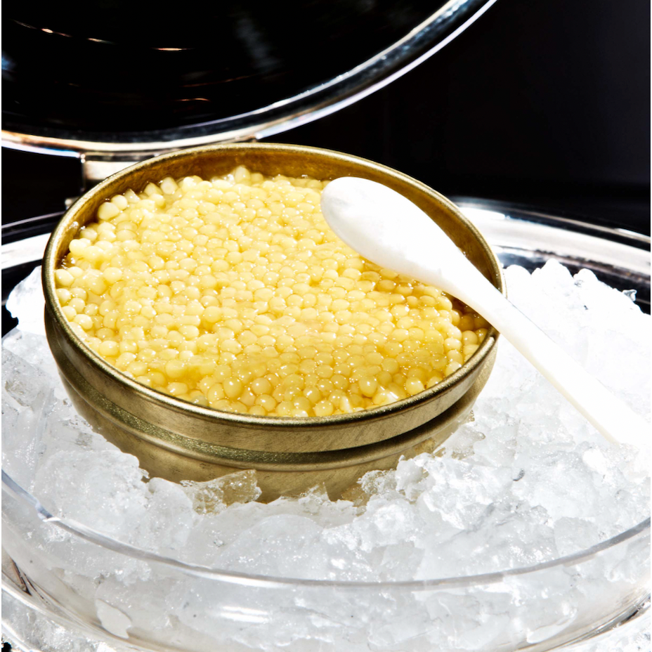 Golden Albino Caviar
