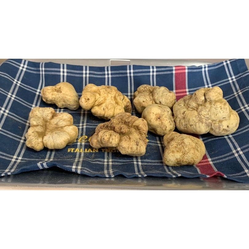 Trufas Blancas Italianas (Tuber Magnatum Pico)