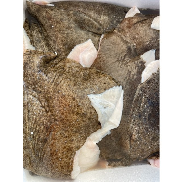 European Turbot Fillet